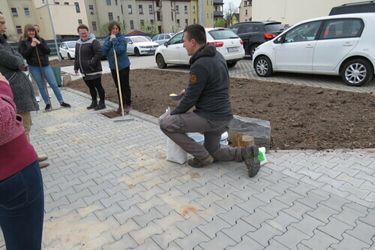 Aktion "Wildblumenwiese": Ackern für den Earth Day Aktion "Wildblumenwiese": Ackern für den Earth Day