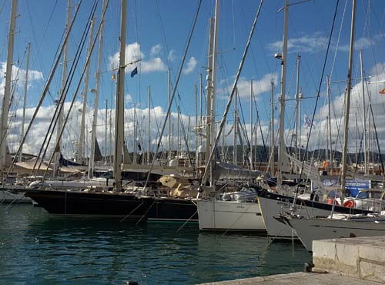 Kurztrip nach Mallorca – eine Weihnachtsfeier der „anderen Art“