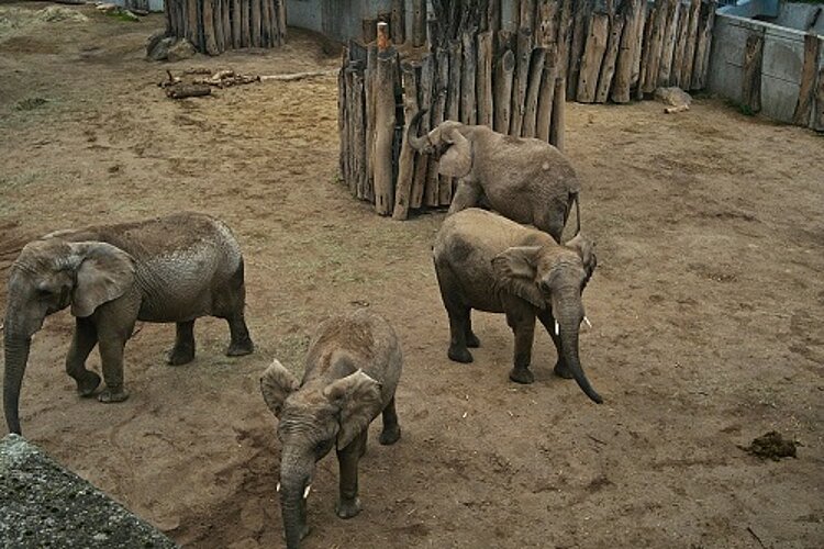 Deutsch lernen beim Zoobesuch Deutsch lernen beim Zoobesuch