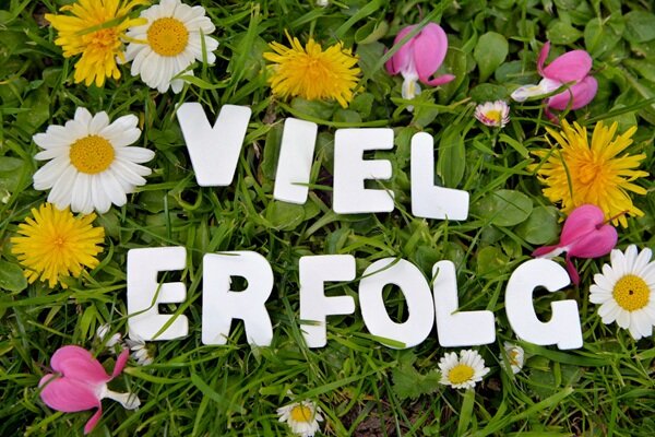 Weiße Buchstaben liegen auf einer grünen Wiese und bilden die Worte "Viel Erfolg". Auf der Wiese zu sehen sind außerdem Gändeblümchen, Löwenzahn und Veilchen. 