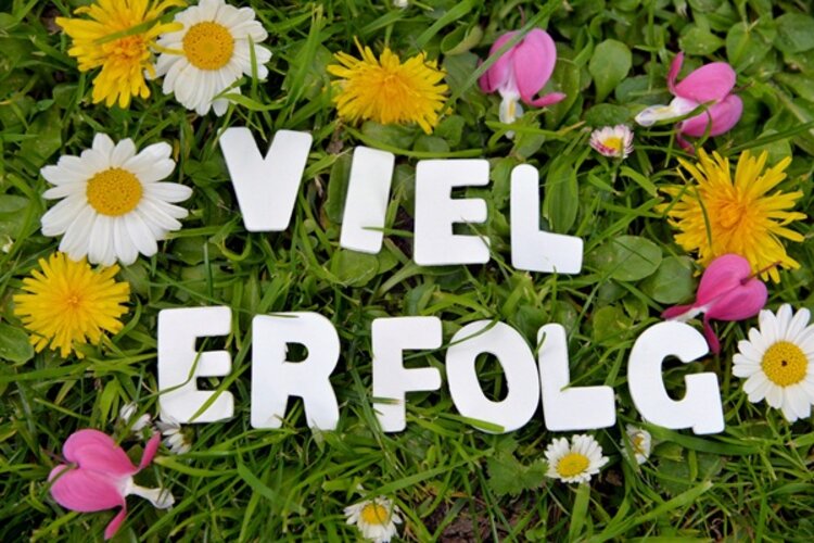 Weiße Buchstaben liegen auf einer grünen Wiese und bilden die Worte "Viel Erfolg". Auf der Wiese zu sehen sind außerdem Gändeblümchen, Löwenzahn und Veilchen. 