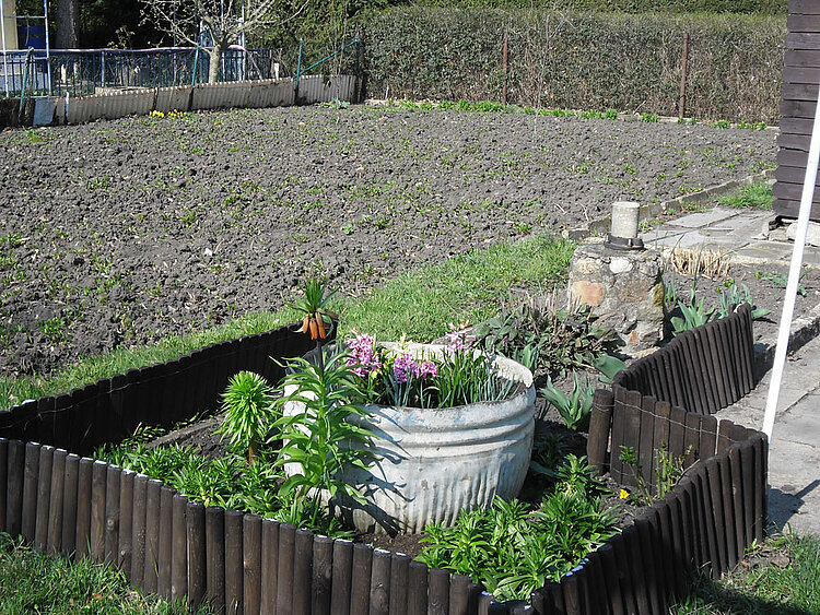 Frühlingserwachen im „BIWAQ-Garten“ Frühlingserwachen im „BIWAQ-Garten“