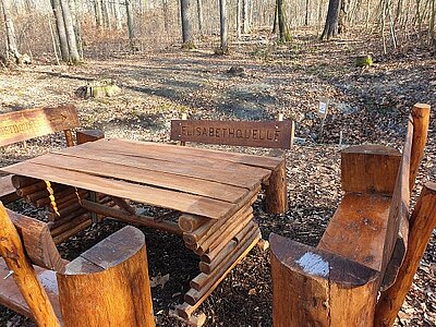 Teilnehmer*innen verschönern den Leinawald