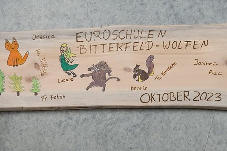 Nadelbäume, Pilze und Co.- Wald einmal anders Nadelbäume, Pilze und Co.- Wald einmal anders