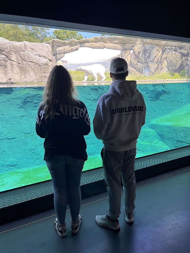 Abschlussfahrt der VK21 an die Ostsee Zu sehen ist ein großes Aquarium in Form einer Glaswand, vor welchem zwei Schülerinnen stehen und hineinschauen.