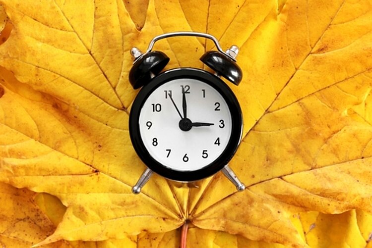 Die Uhr umstellen Ein schwarzer Wecker, der auf drei Uhr steht, liegt auf herbstlich gelbem Ahornblatt.