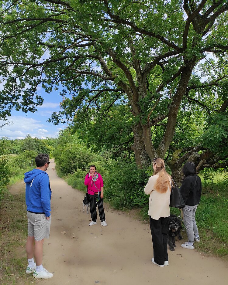 Walk & Talk Walk & Talk
