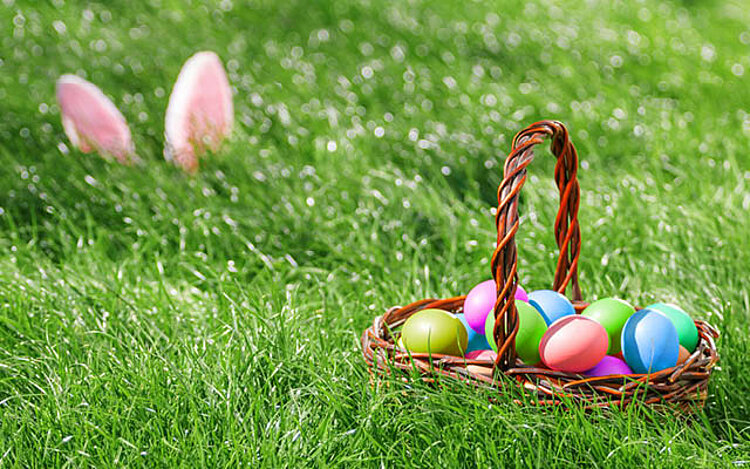 Frohe Osterfeiertage! Auf einer Wiese steht ein Korb mit bunten Eiern darin, etwas weiter hinten sind die Ohren eines Hasen erkennbar, die aus dem Gras herausragen.