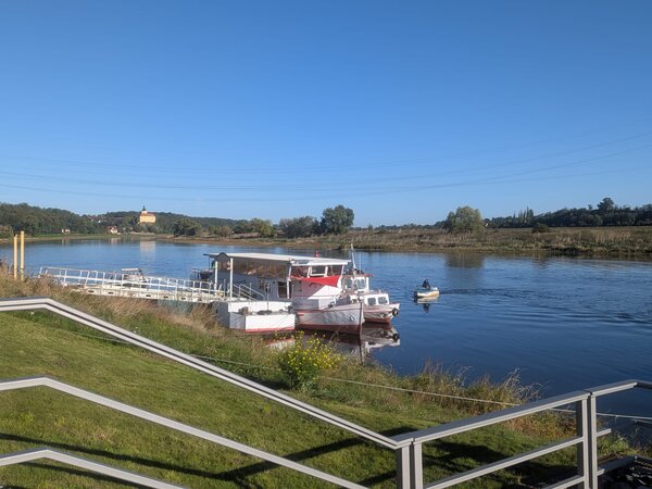 Mehrere Ausflugsschiffe liegen an einem Anleger am Fluss. Im Hintergrund erstreckt sich eine grüne Uferlandschaft mit Bäumen und einzelnen Gebäuden unter blauem Himmel.