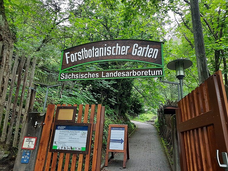 Fachexkursion in den Forstbotanischen Garten Fachexkursion in den Forstbotanischen Garten