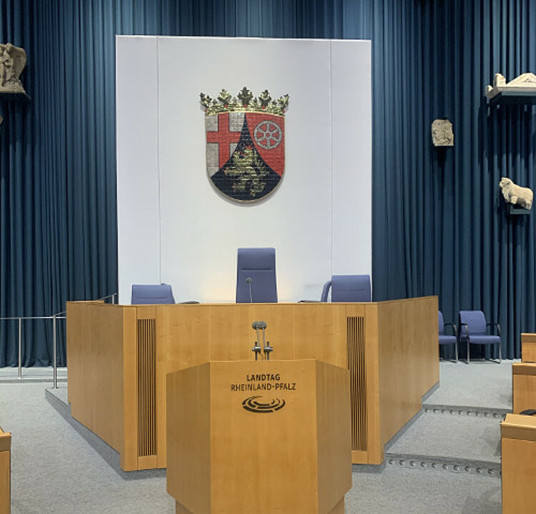 Vorbereitungskurs "Mittlerer Bildungsabschluss" besucht den Landtag Rheinland-Pfalz Vorbereitungskurs "Mittlerer Bildungsabschluss" besucht den Landtag Rheinland-Pfalz