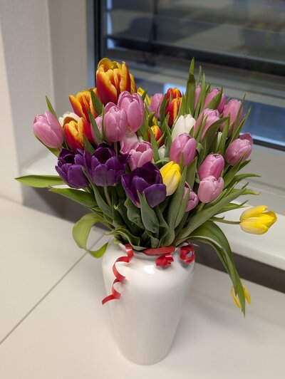 Ein Strauß bunter Tulpen in einer weißen Vase mit einer roten Schleife, die auf einem weißen Schreibtisch steht.