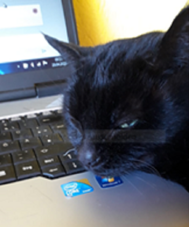 Herausforderung Homeoffice