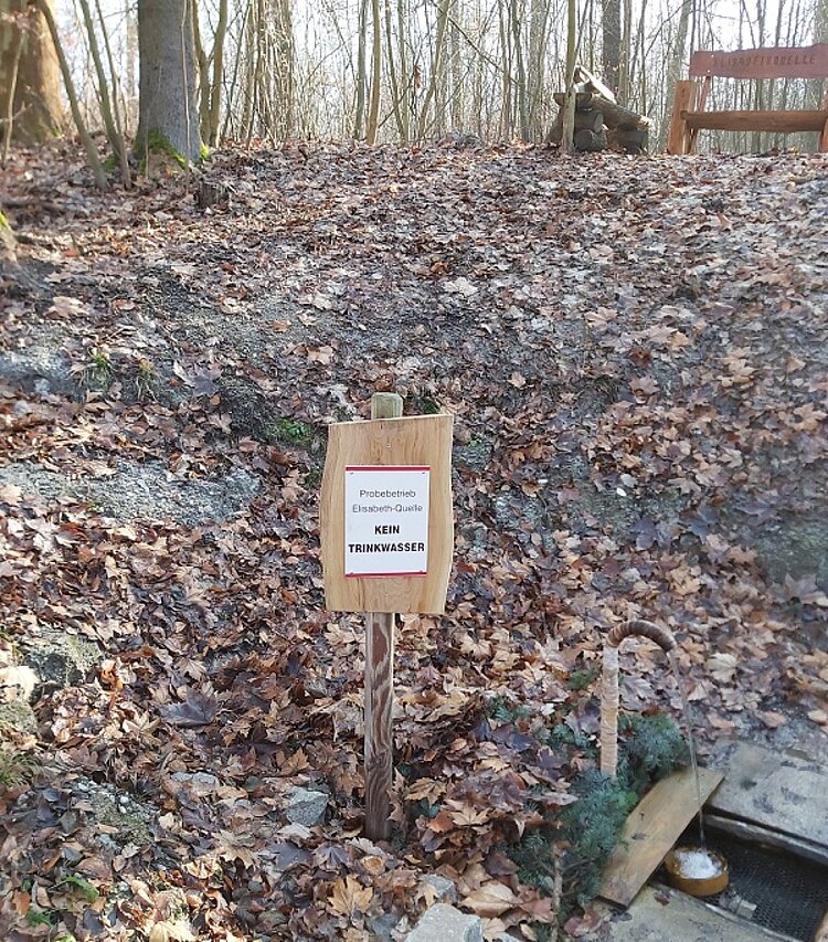 Teilnehmer*innen verschönern den Leinawald