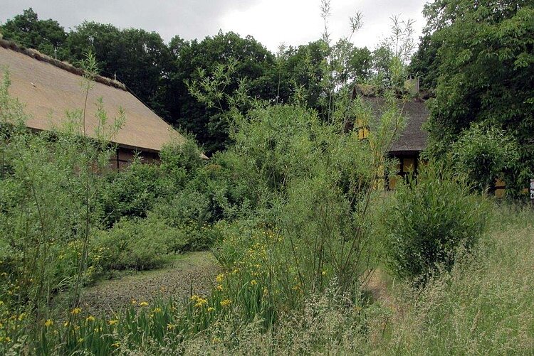 Besuch des Freilichtmuseums Kommern