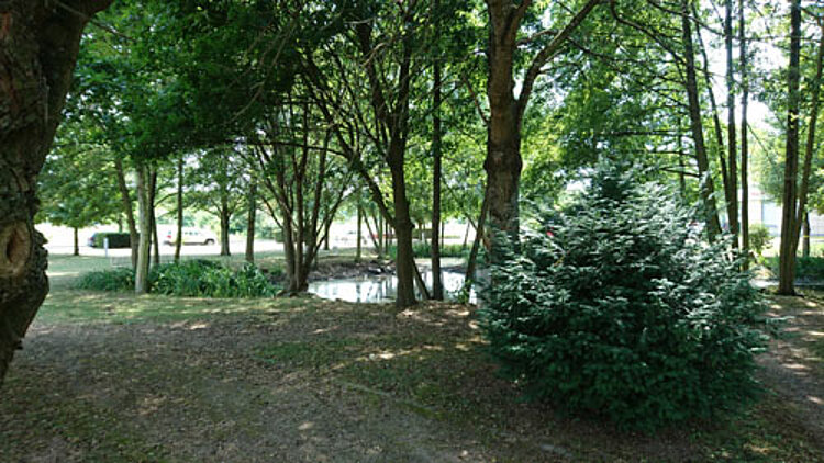 Neuer Standort in Kerpen Neuer Standort in Kerpen