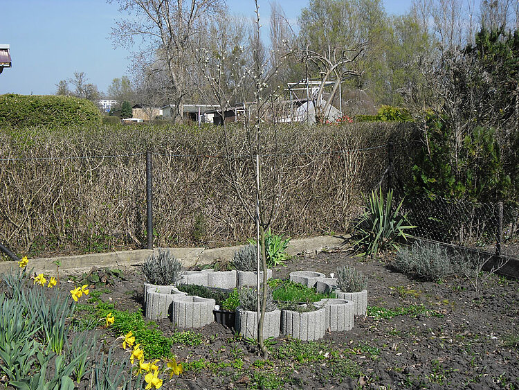 Frühlingserwachen im „BIWAQ-Garten“ Frühlingserwachen im „BIWAQ-Garten“
