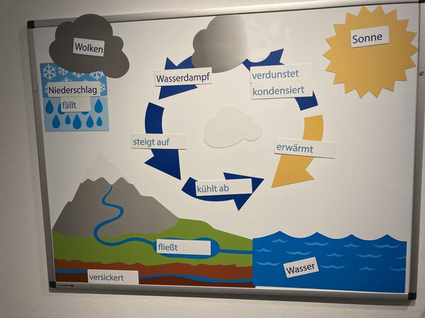 Eine Schautafel mit einer grafischen Darstellung des Wasserkreislaufs. Begriffe wie „Niederschlag“, „Verdunstung“, „Kondensation“ und „Versickerung“ erklären den natürlichen Prozess von Wasser in der Umwelt.