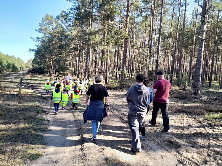 In einem Kiefernwald laufen vier erwachsene Personen und vorneweg eine Gruppe kleiner Kinder, die mit neongelben Warnwesten bekleidet sind.
