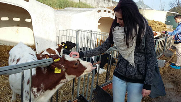 Ausflug in die "Milchwelt"
