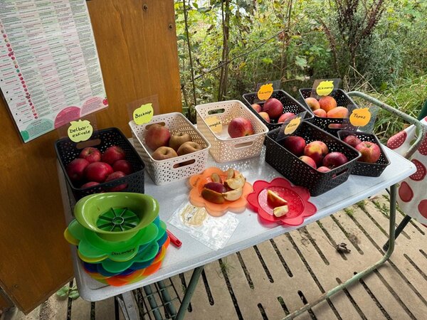 Auf einem Tisch sind sieben verschiedene Apfelsorten in Körben, es liegen Apfelschnitze auf Tellern und Apfel