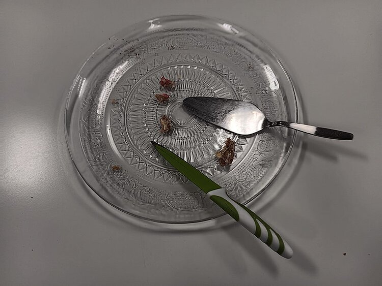 Leere, runde Glas-Tortenplatte auf einem weißen Tisch, auf der nur noch wenige Kuchenkrümel und Spuren von rosa Creme zu sehen sind. Daneben liegen ein Tortenheber aus Metall und ein grün-weißes Messer. Das Bild zeigt, dass die zuvor servierte Torte eines Teilnehmers, der diese zum Dank gebacken hatte, vollständig aufgegessen wurde, weil sie besonders köstlich schmeckte.
