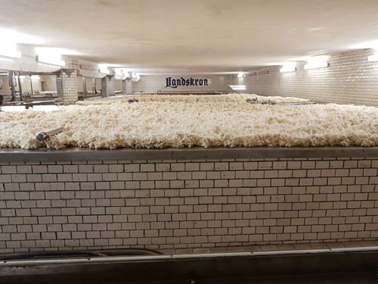 Exkursion zur Landskron-Brauerei in Görlitz