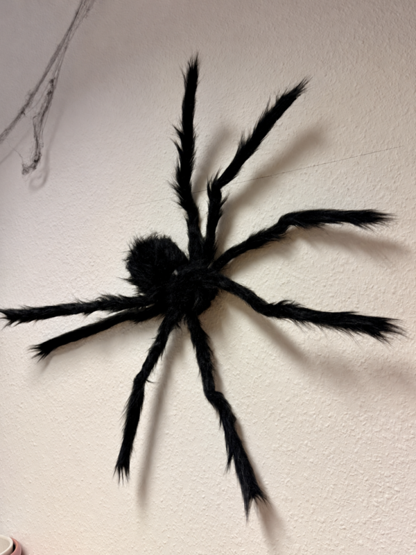 Schwarze, haarige Spinnendekoration mit langen, ausgestreckten Beinen an einer hellen Wand. Die Spinne wirft einen deutlichen Schatten auf die Wand und sorgt für eine gruselige Halloween-Atmosphäre.