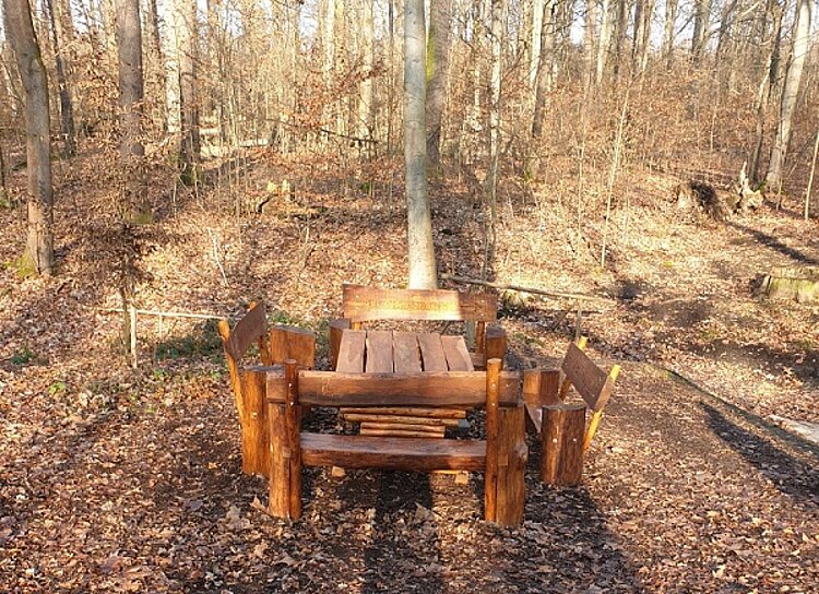 Teilnehmer*innen verschönern den Leinawald