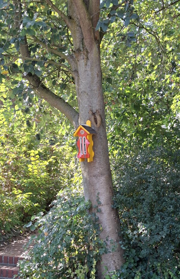 Zu sehen ist ein Baum, an dem ein Vogelhaus in gelber und roter Farbe gehängt wurde.
