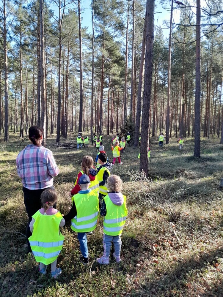 Eine Kinderschar in gelben Warnwesten sucht mitten in einem Kiefernwald nach versteckten Ostergeschenken. Eine Erzieherin schaut ihnen dabei zu.