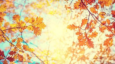 Programm in den Herbstferien Programm in den Herbstferien