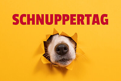 Einladung zum Schnuppertag! Einladung zum Schnuppertag!