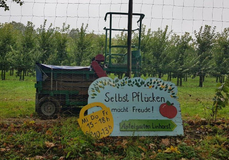 Apfelprojekt: von der Ernte bis zum Verzehr Apfelprojekt: von der Ernte bis zum Verzehr