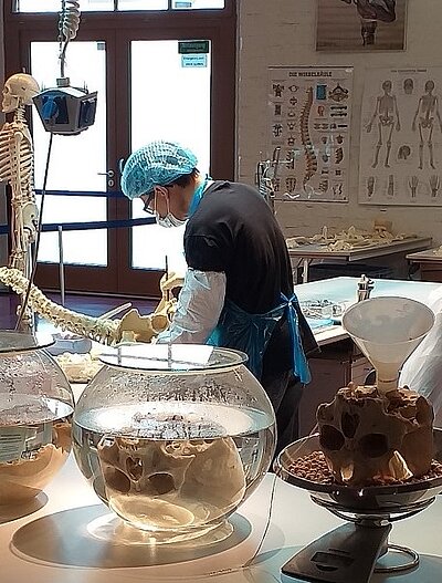 Drei Jahre Ausbildung gehen zu Ende