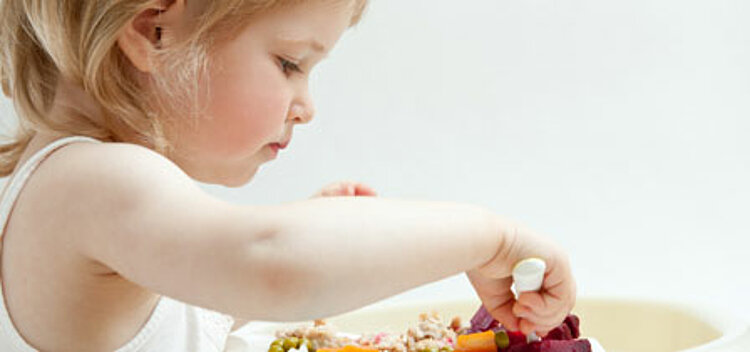 Erfolgreicher Ausbildungsstart für angehende Erzieher und Kinderpfleger Erfolgreicher Ausbildungsstart für angehende Erzieher und Kinderpfleger