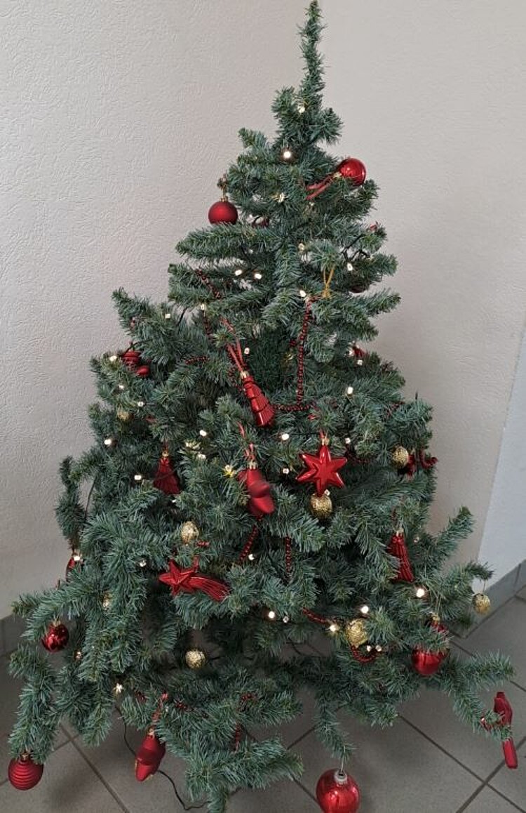 Gemeinsam auf Weihnachten freuen Ein geschmückter Weihnachtsbaum steht vor einer weißen Wand. Der Baum ist mit roten, goldenen Kugeln und roten Sternen sowie einer Lichterkette geschmückt.