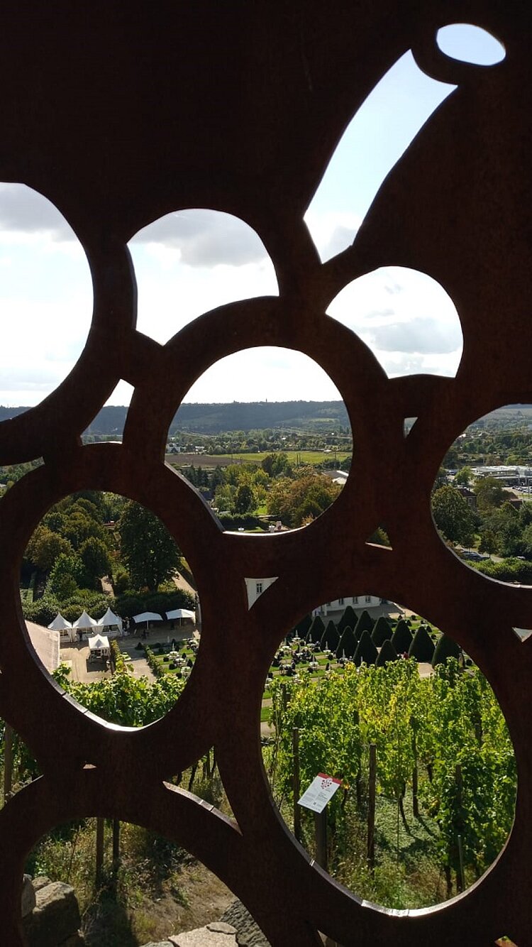 Kennenlerncamp in Radebeul