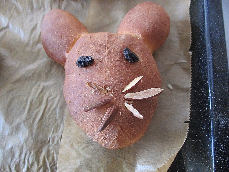 Projekt „Frühlingserwachen“ Projekt „Frühlingserwachen“