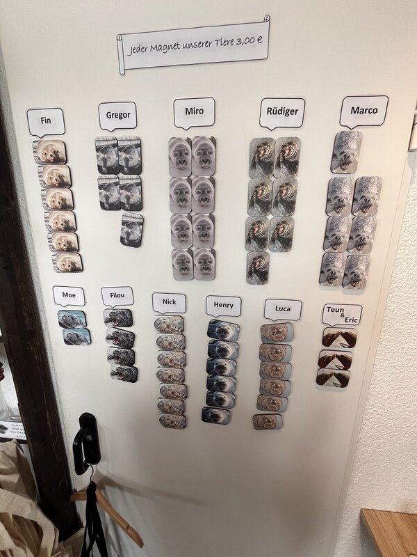 Das Bild zeigt eine Tafel, auf welcher Bilder und Namen von verschiedenen Robben hängen-