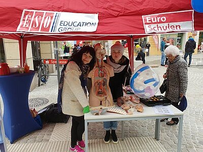 Die Euro-Schulen beim Straßenfest in Meißen-1