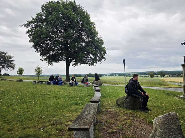 Mehrere Wandernde machen unter einem großen Baum eine Pause und blicken über die weite, ländliche Landschaft.