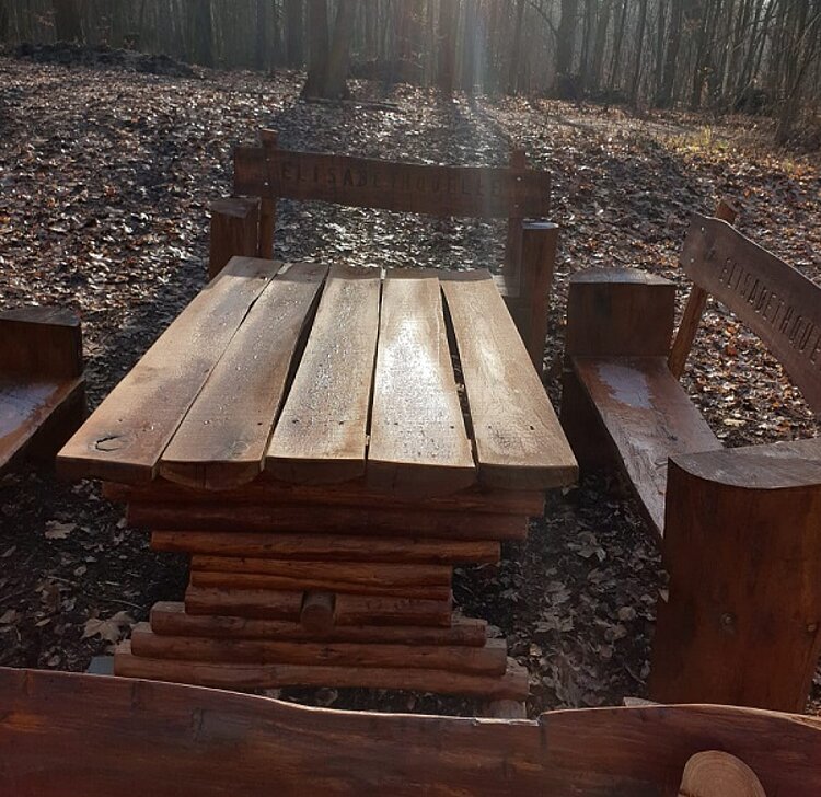 Teilnehmer*innen verschönern den Leinawald