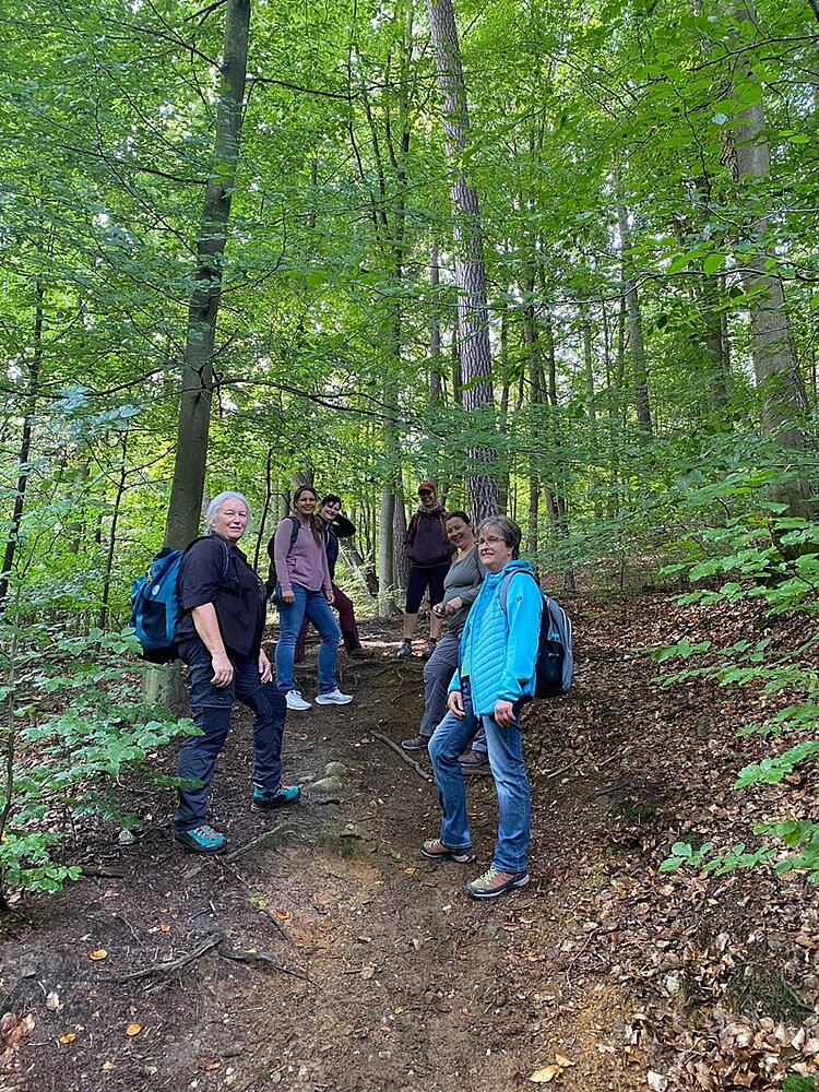 Die Mitarbeitenden posieren auf einem aufsteigenden Waldweg für ein gemeinsames Erinnerungsbild. 