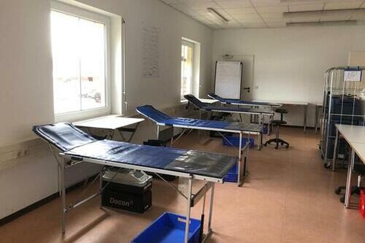 Blutspendetermine für 2023 an den Euro-Schulen Gransee Blutspendetermine für 2023 an den Euro-Schulen Gransee