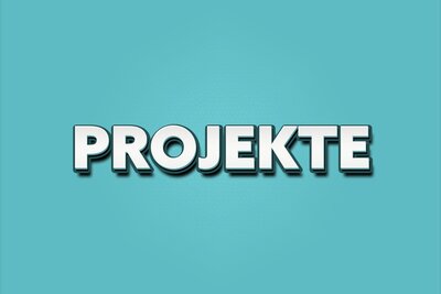 Eine Illustration mit dem zentriert platzierten weißen Wort Projekte auf hellgrünem Hintergrund.