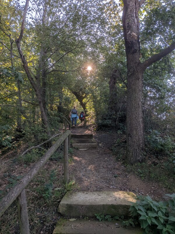Schmaler Waldweg mit Steinstufen und Holzgeländer führt durch dichtes Grün bergauf. Zwei Personen gehen den Weg entlang, während die Sonne durch die Baumkronen scheint.