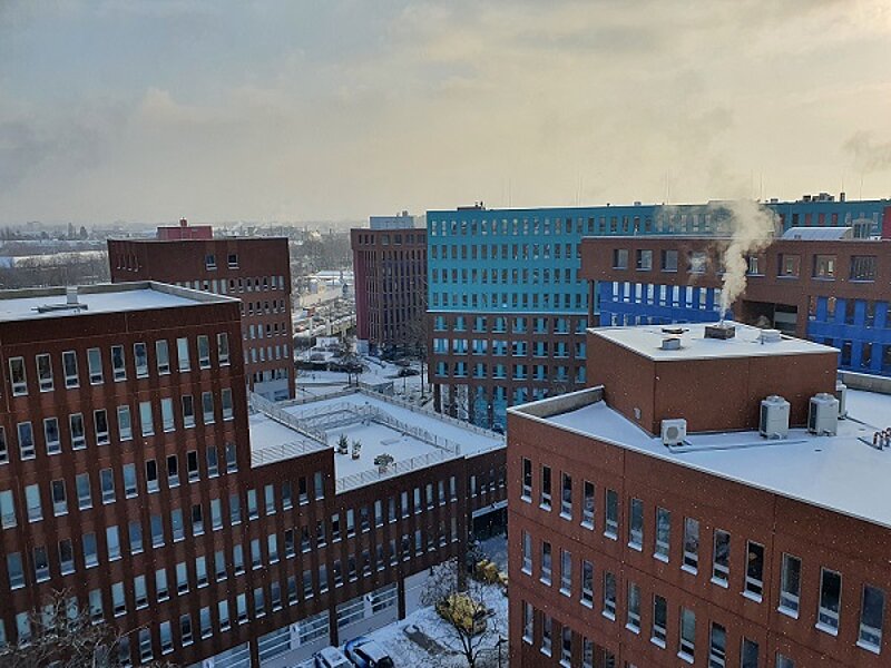 Euro-Schulen Berlin im Schneekleid