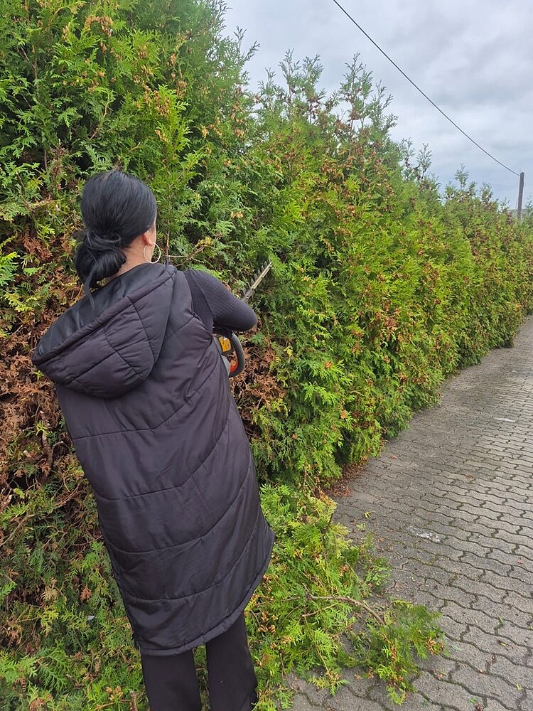 Eine Teilnehmerin schneidet eine über zwei Meter hohe Hecke mit einer elektronischen Heckenschere.