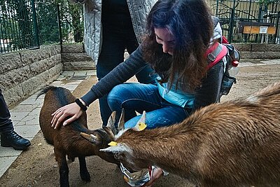 Deutsch lernen beim Zoobesuch Deutsch lernen beim Zoobesuch-1